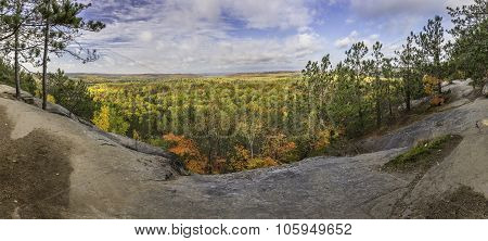 Panorama Of A Forest In Fall Colour - Ontario, Canada