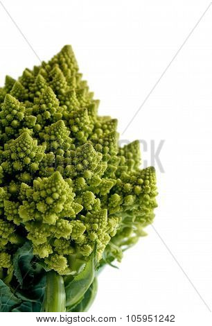 Decorate Broccoflower - Brocolli Isolated On White Background