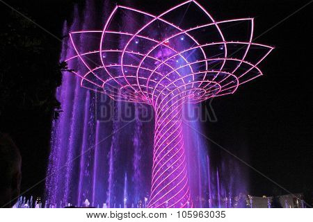 expo