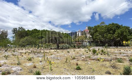 Oaxaca - Mexico