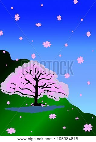 The Line Of Cherry Blossom Tree Background