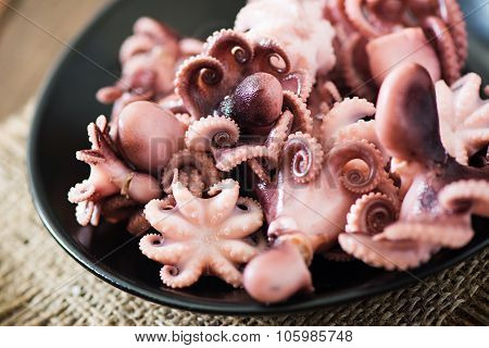 Boiled small octopus on a black plate