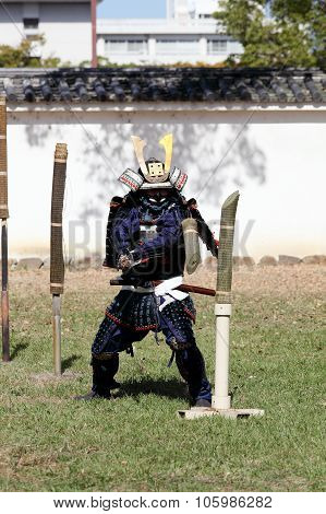 Japanese samurai of sword fighting