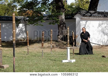 Japanese martial art of sword fighting