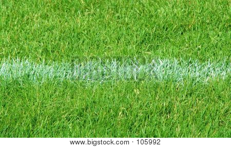 Sideline On The Playing Field