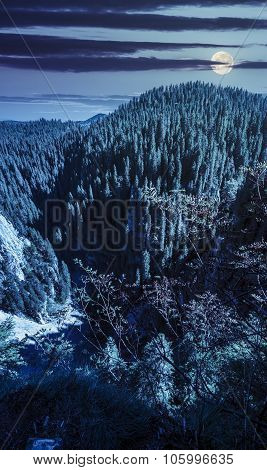 Steep Cliff In Romanian Mountains At Night