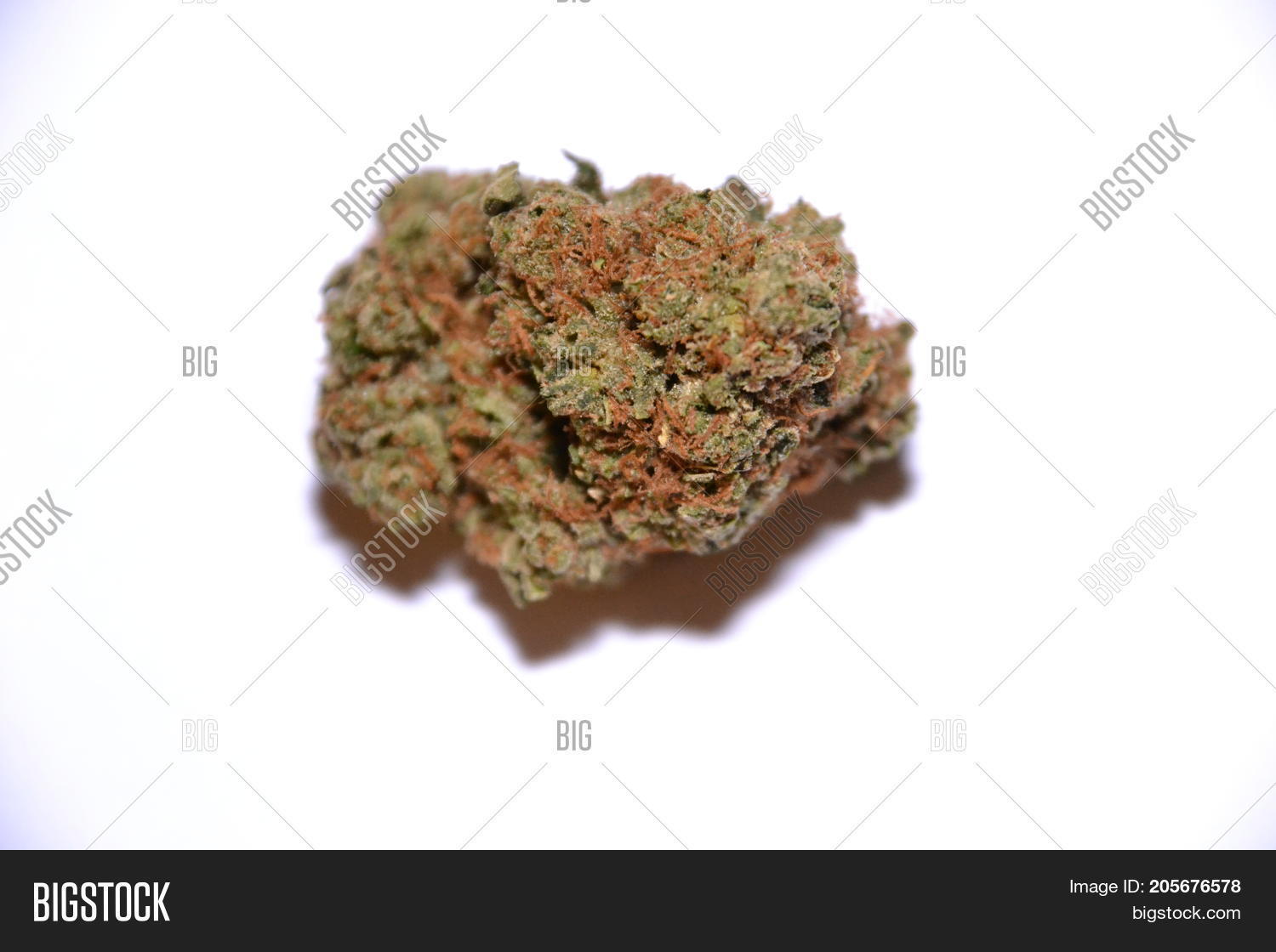 Charlie Sheen Indica Image & Photo (Free Trial) Bigstock