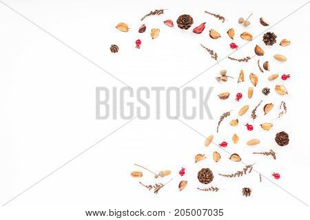Dried Autumn Flowers On White Background. Autumn Frame. Flat Lay, Top View, Copy Space