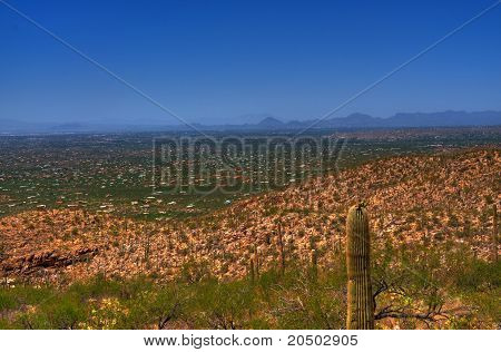 Tucson Arizona