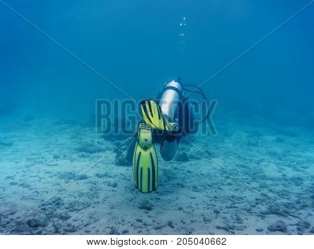 diver under water, in the ocean, at the bottom