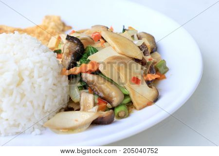 Stir Fried Tofu In Chinese Style,stir Fried Tofu With Mixed Vegetables And Fried Egg In White Plate