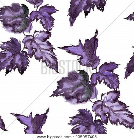 Pattern hand drawing watercolor blue and purple leaves ornament