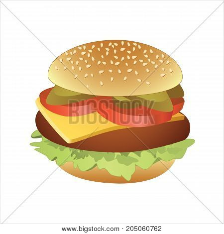Vector illustration of classic cheeseburger on white background.