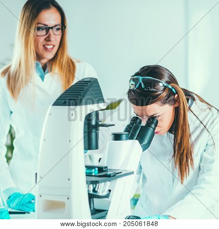 Scientists Working In Their Lab, Toned Image, Two Women