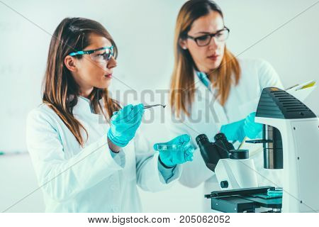 Biotechnology Research In The Lab, Toned Image, Two Women