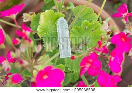 andara healing crystal on a green leaf .