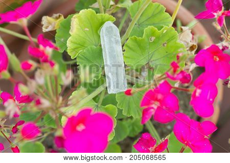 andara healing crystal on a green leaf .