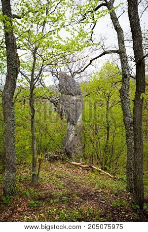 Interesting rock formations in the shape of a human head