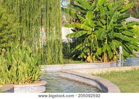 A beautiful Park with fountains, trees, flowers and palm trees in Kemer, Turkey. Green grass Palm Avenue and Fountain