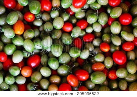 Group Of Fresh Tomatoes