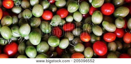 Group Of Fresh Tomatoes
