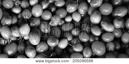 Group Of Fresh Tomatoes