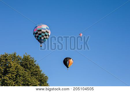 Three colorful hot air balloons set against a clear blue sky. Tree in foreground for added interest and scale. Copy space on right.