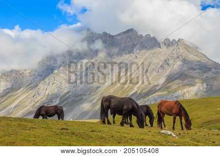 Route through the wonderful places of the Picos de Europa.