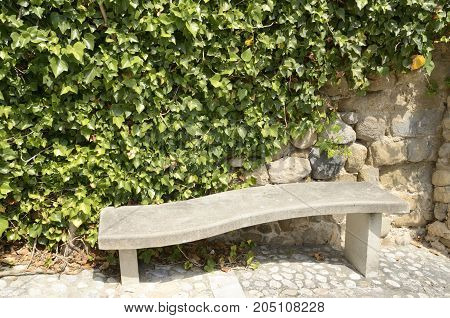 Stone bench next to a wall covered by ivy in Besalu a town in the comarca of Garrotxa in Girona Catalonia Spain.