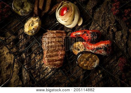 Dish On A Tree Bark