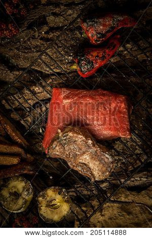 Dish On A Tree Bark