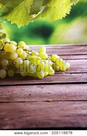 Grapes on wooden table and grape leaves . Healthy fresh fruit wine grapes.