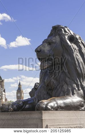 LONDON UK - AUGUST 11 2013; The lion of Trafalgar square and the Big Ben on a sunny summer day in London