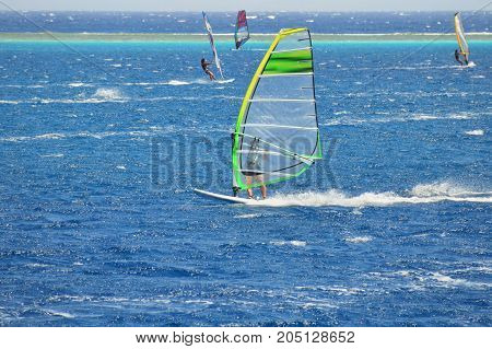winwindsurfing speed wind Red Sea Egypt sports