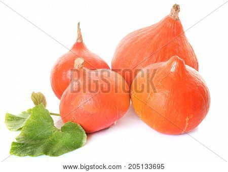 Red kuri squash in front of white background
