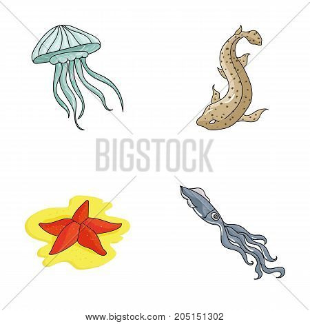 Jellyfish, squid and other species.Sea animals set collection icons in cartoon style vector symbol stock illustration .