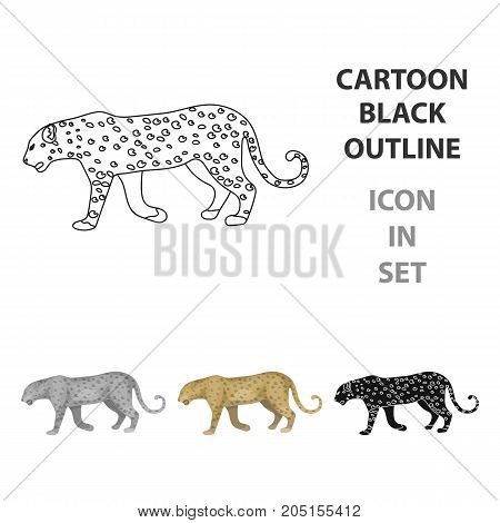 Leopard.African safari single icon in cartoon style vector symbol stock illustration .