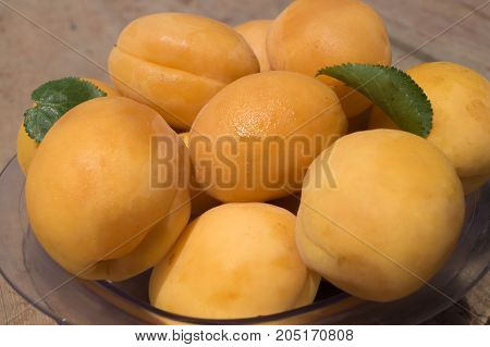 Ripe orange apricots in the plastic plate close up