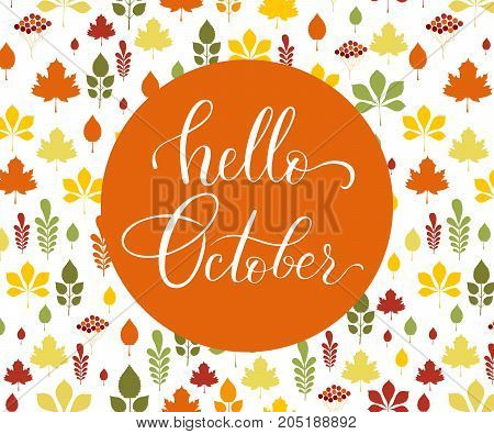 Vector lifestyle lettering hello October. Brush ink typography for photo overlays t-shirt print flyer poster design logo banner. Hello October vector illustration