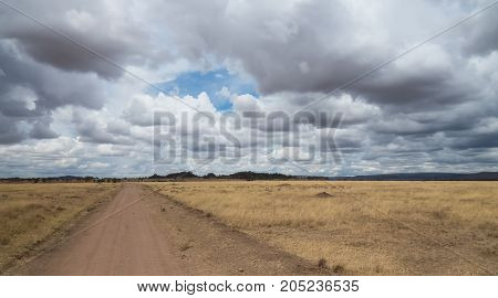 Serengeti landscape of grassland in dry season, Tanzania