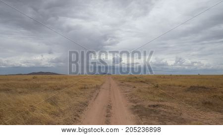 A road to infinity in the grassland of Serengeti leading to rain at a distance