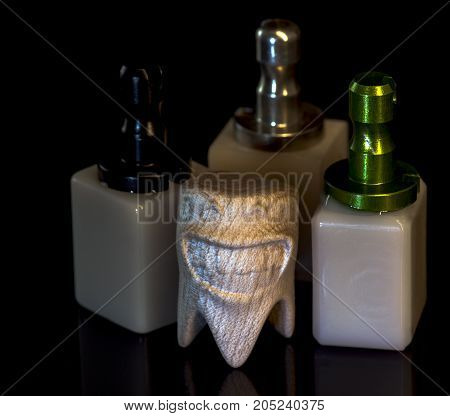 Ceramic zirconium- High quality materials. Tooth made of wood.