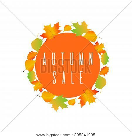 Autumn leaf foliage watercolor. Autumn sale - 85 off . Fall sale. Web banner or poster for e-commerce, on-line cosmetics shop, fashion beauty shop, store. Vector illustration. EPS 10