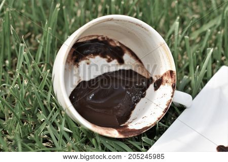 coffee grounds on the bottom of the mug. a cup on the grass. green meadow and white tableware. dirty dish. fortune telling, monkey cup, monkey background, funny and cute cup, green background