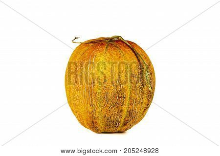 Melon Isolated On White Clipping Path