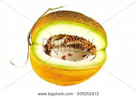 Melon Isolated On White Clipping Path