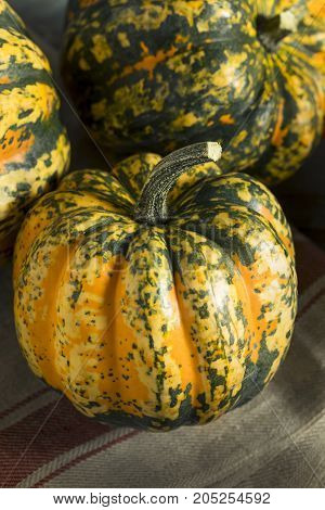 Raw Orange Conffeti Acorn Squash