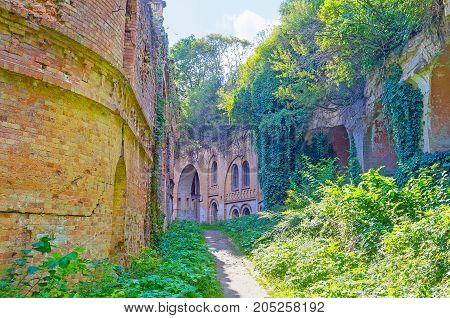 Walking In Old Fort