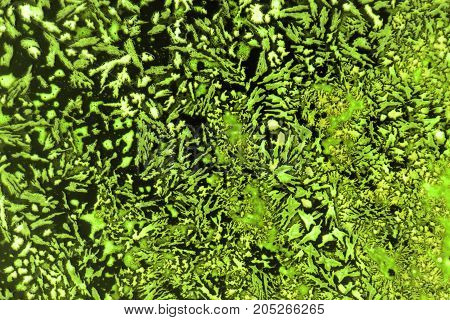 microscopic shot showing some microcrystals in dried dyestuff