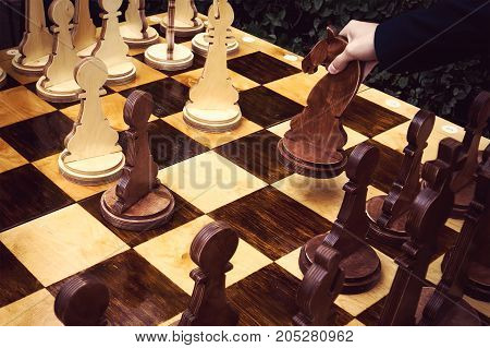 Board Game, Chess Player Hand About To Play,